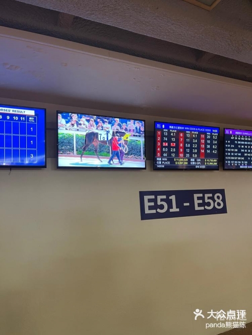 香港赛马会精准资料大全查询香港赛马会免费资源网，探索无限可能-第3张图片