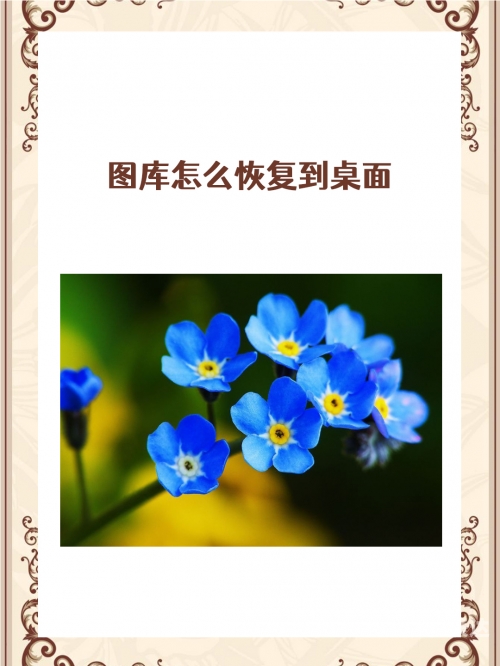 恢复49图库49.tkcom最新版本恢复49图库，探索tkcom的全新篇章