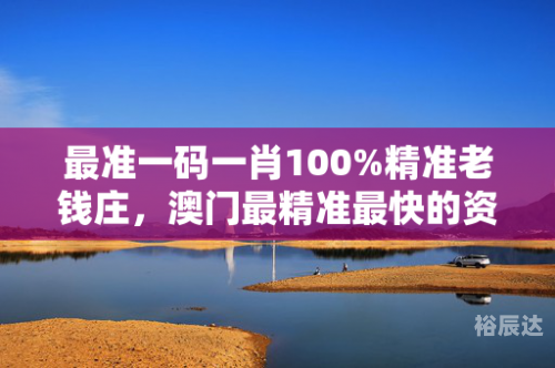 新一码一肖100准正版资料，全面解析与使用指南-第2张图片