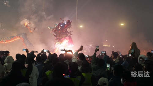 龙击炮龙击炮，神秘武器，震撼世界-第1张图片