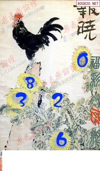 乐透乐怪字神贴总汇集乐透乐，彩票之魅力与人生启示-第2张图片