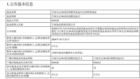 2025年正版资料免费大全2024新澳天天彩免费资料大放送
