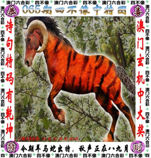 二四六天天好彩，文字资料大全