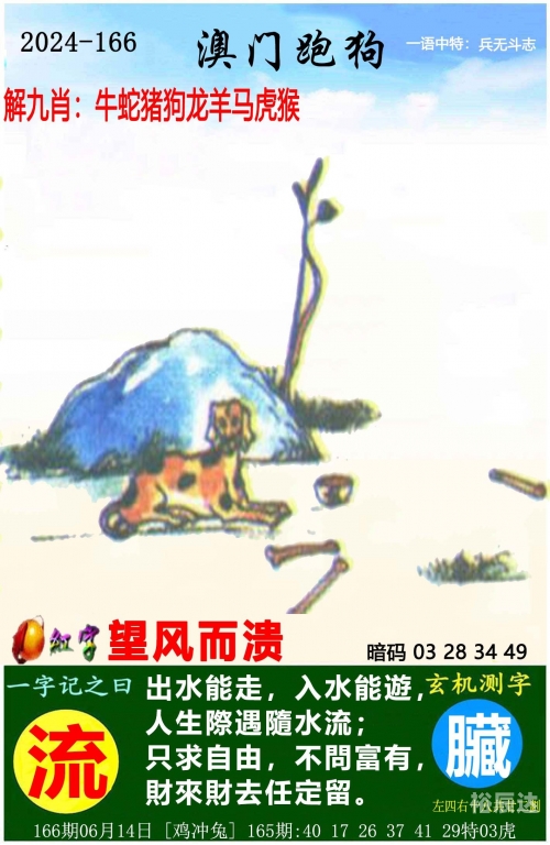 澳门新彩2024新澳门精准资料免费下载，全面解析与深度解读