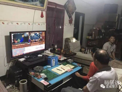 百家乐论坛百家乐论坛，探索网络赌博的秘密世界