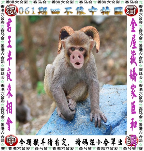 澳门马会传真论坛版主澳门马会传真论坛，探讨行业交流与信息传递
