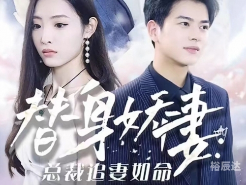 傅总的替嫁娇妻-第2张图片