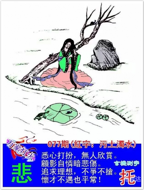 新跑狗高清跑狗图彩图，引领潮流的视觉盛宴
