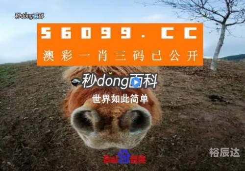 澳门一肖一码，100%准确预测-第1张图片