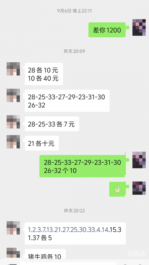 澳门一肖一码一一特一中澳门一肖一码一一特中，探索数字彩票与特区文化