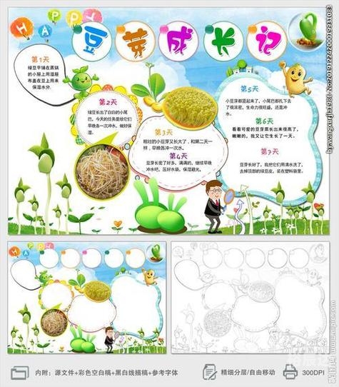 小丽君统计器手机版怎么安装2025小丽君统计器，数据分析的利器