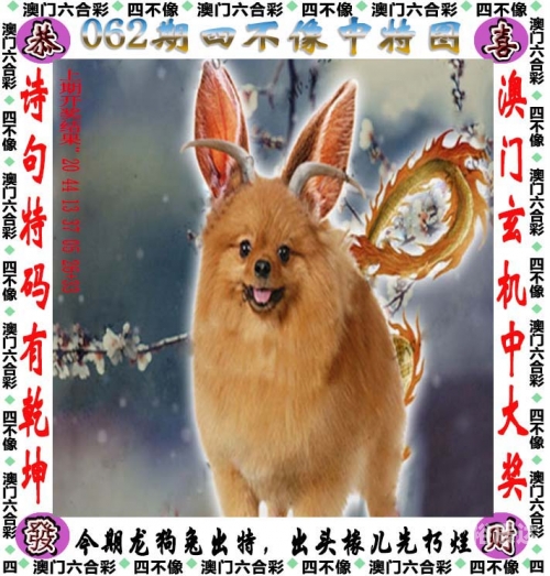 四不像必中一肖正牌