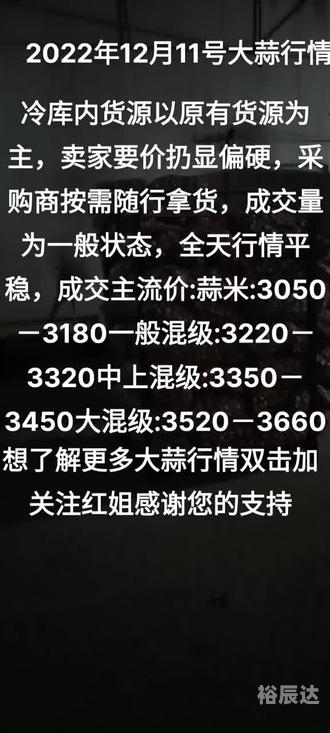 红姐论坛红姐论坛，探讨网络交流与社交新体验-第1张图片