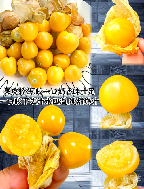 水果奶奶论坛水果奶奶论坛，探索水果的奥秘与乐趣-第2张图片