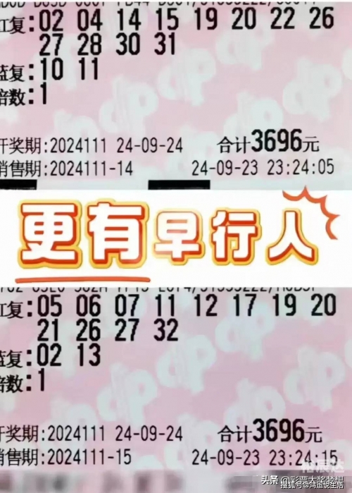 双色球预测器双色球预测器，揭秘彩票预测科技-第2张图片