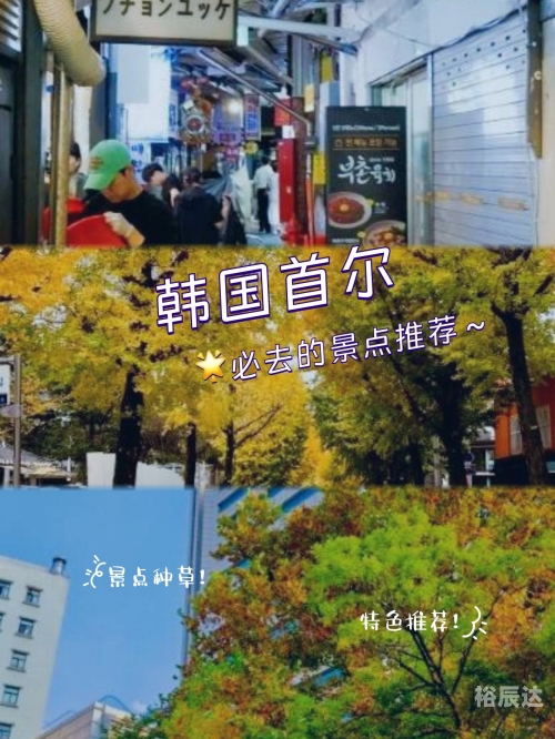 金莎学院，探索艺术与学术的融合-第2张图片