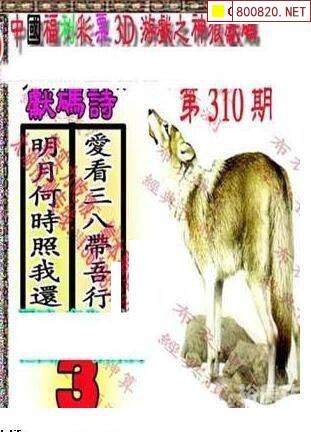 新彩网3d字谜图谜汇总大全新彩网3D字谜，探索神秘世界-第3张图片