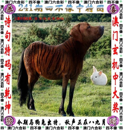 新澳天天彩资料大全一肖新澳天天彩免费资料文章