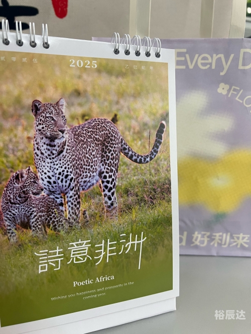 全年资料免费大全-第2张图片