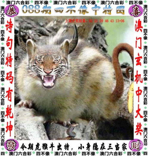 澳门开奖现场直播今晚开什么现场直播1688澳门今晚开奖现场直播揭晓，揭秘今晚开奖结果-第2张图片