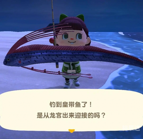 动物森友会 Switch 版，探索与乐趣的全新体验-第2张图片