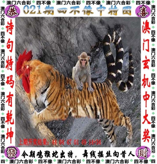 2024年新奥门王中王开奖结果4不像2024年新奥门王中王开奖结果揭晓-第3张图片