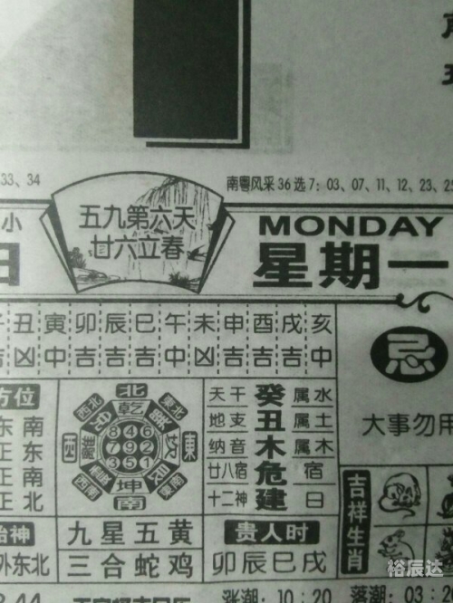 二八追求五迟疑是什么生肖