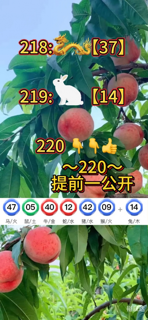 澳门资料免费大全