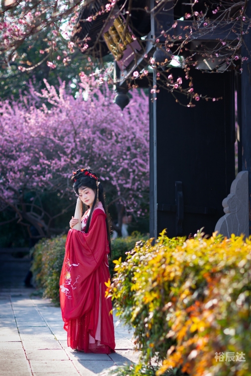 花想容花想容