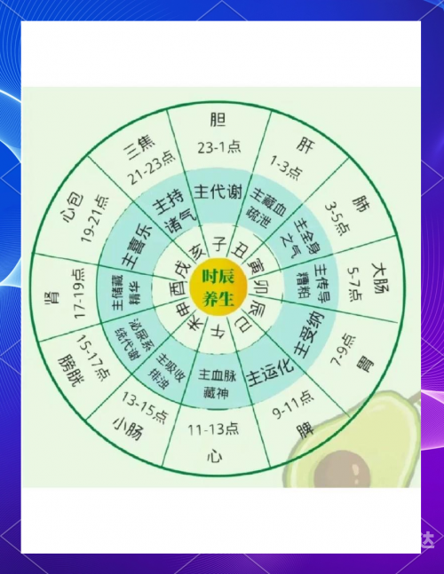 正确的十二时辰对照表图片正确的十二时辰对照表-第3张图片