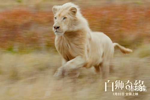 白小姐今期一肖中特-第2张图片