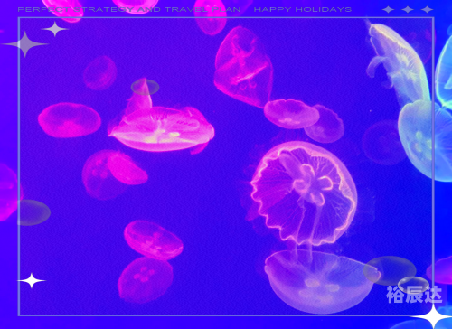冲浪企鹅下载图片冲浪企鹅下载，探索海洋生物的奇妙世界-第2张图片