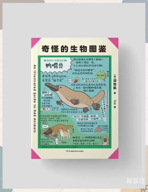 冲浪企鹅下载图片冲浪企鹅下载，探索海洋生物的奇妙世界-第3张图片