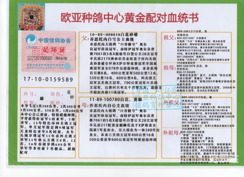 特马资料最准2019，精准预测市场趋势-第2张图片