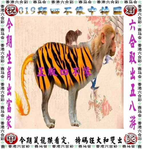 2024澳门天天开好彩大全免费下载软件2024澳门天天开好彩大全免费，揭秘澳门彩市新动态