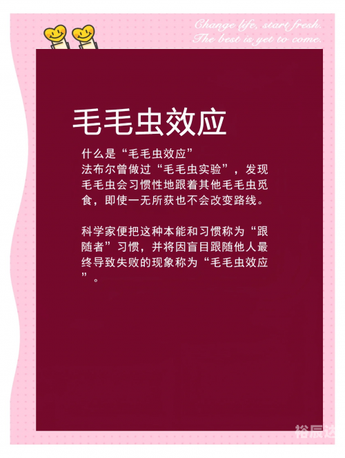 毛皮搜集专家毛皮搜集专家，探寻皮毛世界的奥秘-第2张图片