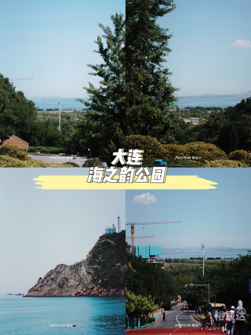 大连东海手机论坛大连东海手机论坛，探索科技与生活交汇的社区-第3张图片