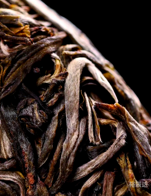 高黎贡山普洱茶高黎贡山普洱茶，品味自然之韵