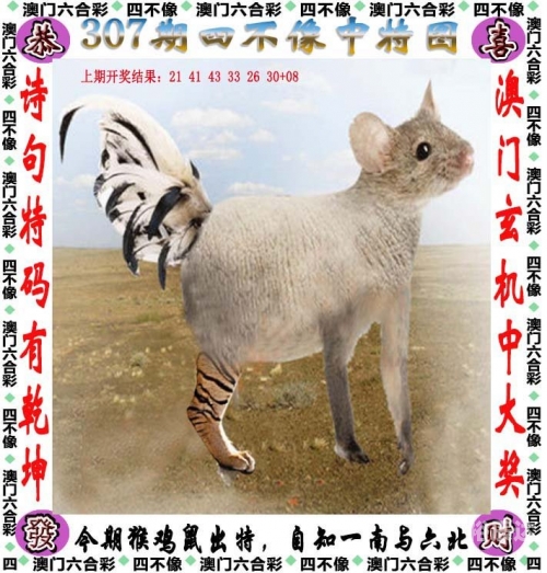 2025年全年资料免费大全新澳天天免费资料大全