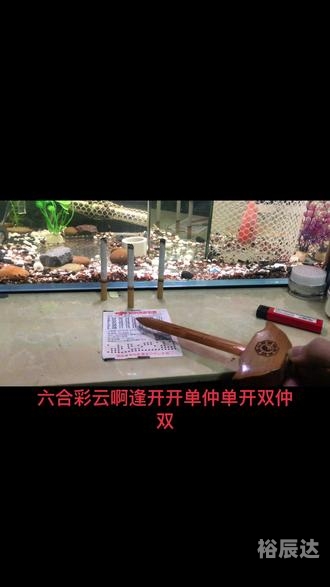 必赢彩票网解封最新消息必赢彩票网，彩票投资的理想之选