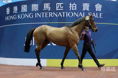 香港马现场开奖结果2021