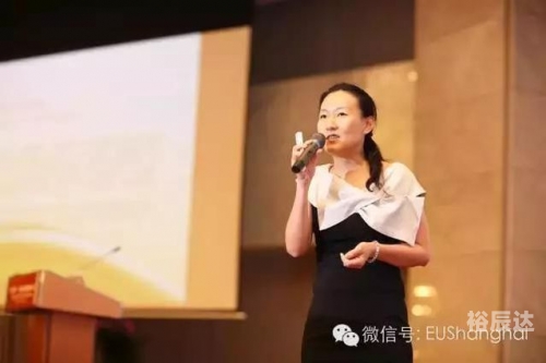 精鹰网，网络信息时代的新篇章-第2张图片
