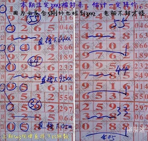 七星彩南海论坛，探索彩市新动态