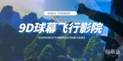 555彩票网，探索数字娱乐新世界