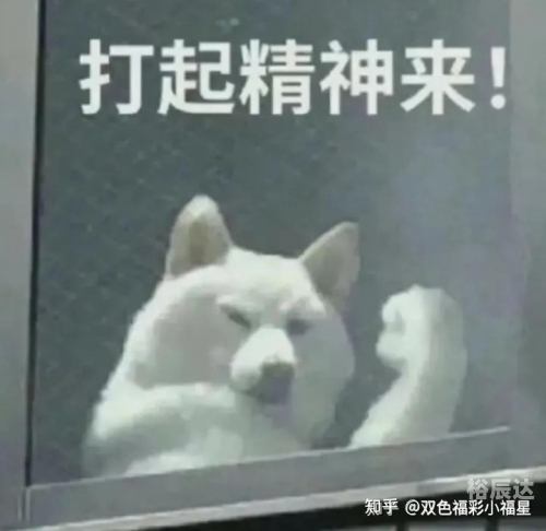 双色球模拟开奖号码计算器双色球模拟开奖号码攻略-第2张图片