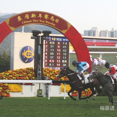 13262CC马会传真网站最新版本更新内容13262cc马会传真，揭秘赛事背后的神秘力量