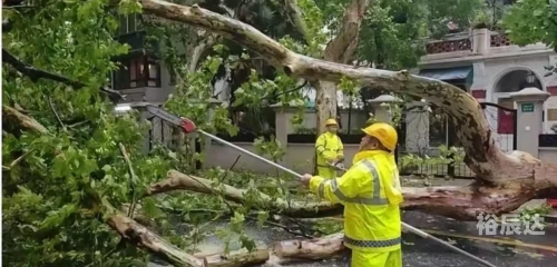 上海特大暴雨，暴雨中的城市挑战-第2张图片
