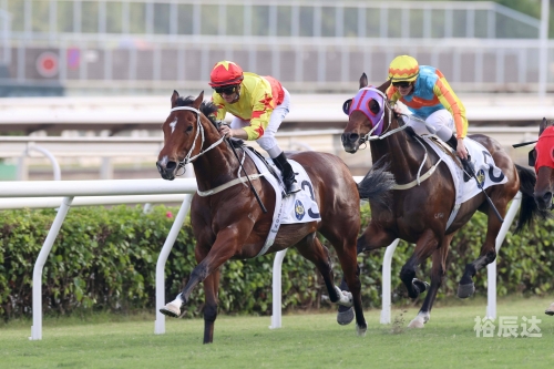 香港赛马会排位香港赛马会排位，赛马运动的荣耀与挑战-第2张图片