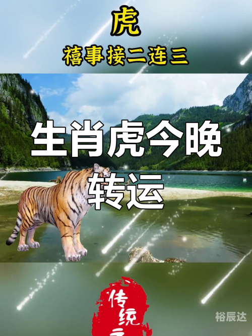 今晚一定出准确生肖今晚出准确生肖-第1张图片