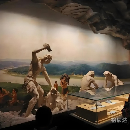 毛皮搜集专家，探寻皮毛世界的奥秘